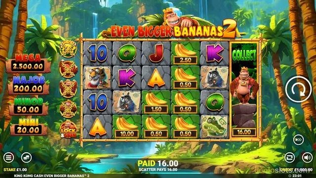 A 5x5 slot game grid showing King Kong and various jungle-themed symbols, with a paid win of 16.00 displayed at the bottom.