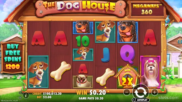 A screenshot of a slot game titled 'The Dog House Megaways 360' showing a 6-reel grid with cartoon dog symbols, playing cards, and a wooden dog house frame in a backyard setting.