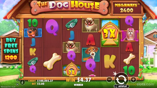 A screenshot of the slot game 'The Dog House Megaways' showing a 5-reel grid with dog-themed symbols and a win of $4.37.
