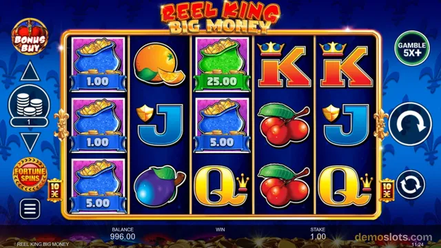 A 5x3 slot game grid titled REEL KING BIG MONEY displays symbols including blue money bags with value labels, an orange, a plum, a green money bag, cherries, and letter symbols K, J, and Q.