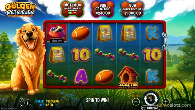 A screenshot of the Golden Retriever slot game showing a 5-reel, 3-row grid with dog-themed symbols including a football, food bag, and a golden retriever mascot on the left.