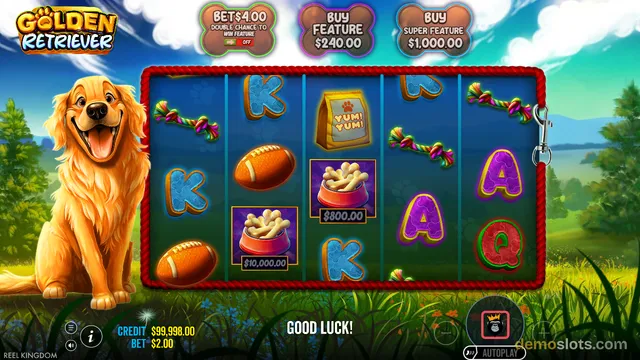 A slot game titled Golden Retriever displays a 5x3 grid with a golden retriever dog on the left, footballs, dog bones, and card symbols on the reels against a grassy field background.